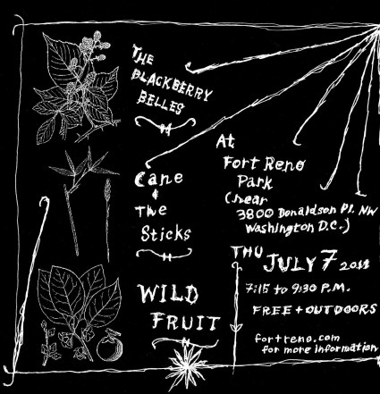 2 Wild Fruit 7 July 2011 flyer