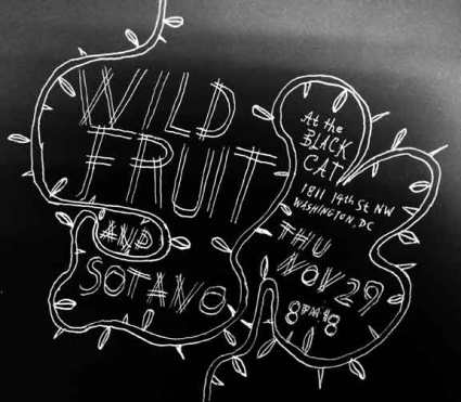 wild-fruit-1129